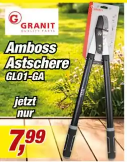 Posten Börse GRANIT Amboss Autschere GL01-GA Angebot
