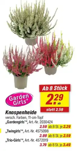 toom Baumarkt Knospenheide Garden Girls Angebot