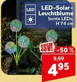 CENTERSHOP LED-Solar-Leuchtblume Angebot
