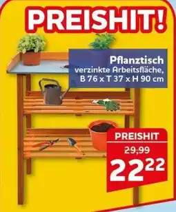 CENTERSHOP Pflanztisch Angebot