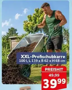 CENTERSHOP XXL-Profischubkarre Angebot