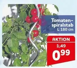 CENTERSHOP Tomaten-spiralstab Angebot