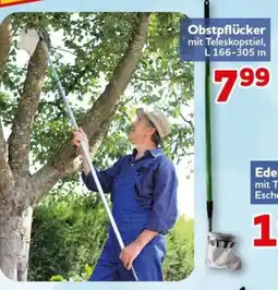 CENTERSHOP Obstpflücker mit Teleskopstiel Angebot