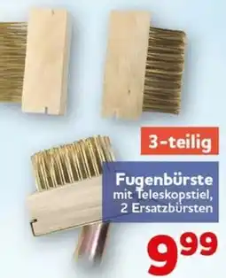 CENTERSHOP Fugenbürste mit Teleskopstiel Angebot