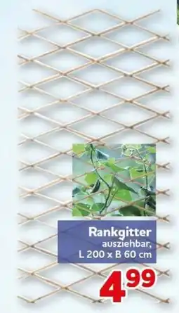 CENTERSHOP Rankgitter Angebot