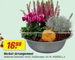 toom Baumarkt Herbst-Arrangement Angebot