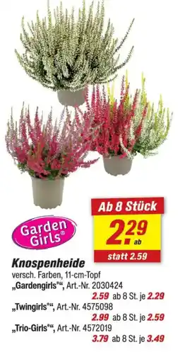 toom Baumarkt Knospenheide Garden Girls® Angebot