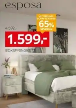 XXXLutz Esposa boxspringbett Angebot