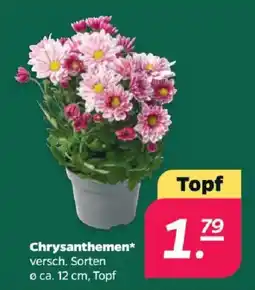 Netto Chrysanthemen* Angebot