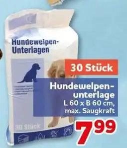 CENTERSHOP Hundewelpen-Unterlagen Angebot