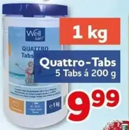 CENTERSHOP Well Sant Quattro-Tabs Angebot