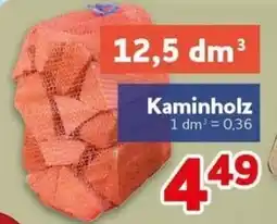 CENTERSHOP Kaminholz Angebot