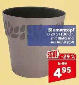CENTERSHOP Blumentopf Angebot