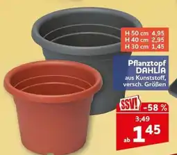 CENTERSHOP Pflanztopf DAHLIA Angebot