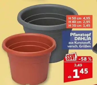 CENTERSHOP Pflanztopf DAHLIA Angebot