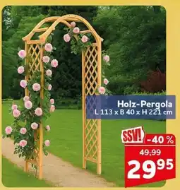 CENTERSHOP Holz-Pergola Angebot