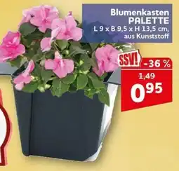 CENTERSHOP Blumenkasten PALETTE Angebot
