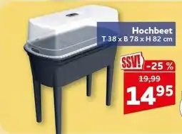 CENTERSHOP Hochbeet Angebot