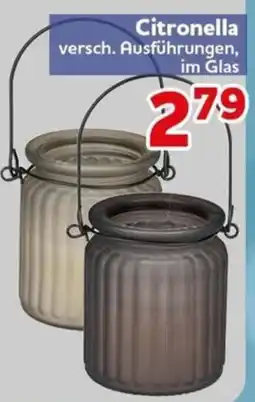 CENTERSHOP Citronella Angebot