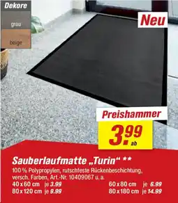 toom Baumarkt Sauberlaufmatte "Turin" Angebot