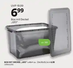 Mömax Box mit Deckel „LEO“ Angebot