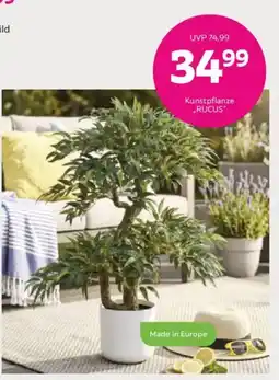 Mömax Kunstpflanze „RUCUS“ Angebot