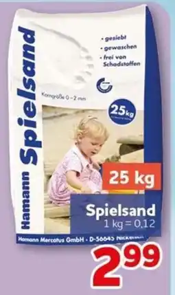 CENTERSHOP Hamann Spielsand Angebot