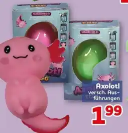 CENTERSHOP Axolotl Angebot