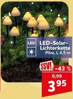 CENTERSHOP LED-Solar-Lichterkette Pilze Angebot