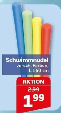 CENTERSHOP Schwimmnudel Angebot
