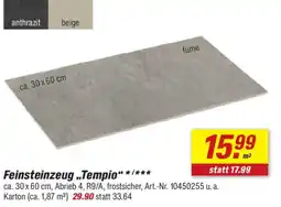 toom Baumarkt Feinsteinzeug „Tempio“ Angebot