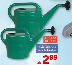 CENTERSHOP Gießkanne Angebot