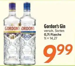 inkoop Gordon's Gin Angebot