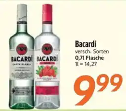 inkoop Bacardi Angebot