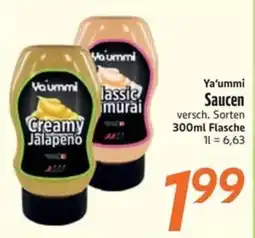 inkoop Ya'ummi Saucen Angebot
