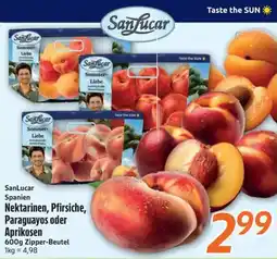 inkoop SanLucar Nektarinen, Pfirsiche, Paraguayos oder Aprikosen Angebot