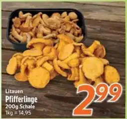 inkoop Litauen Pfifferlinge Angebot