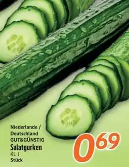 inkoop Salatgurken Angebot
