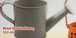 Posten Börse Metall Mini Gießkanne Angebot