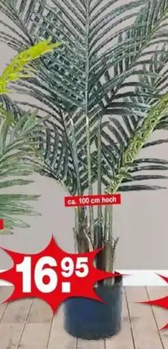Krümet Sonderposten Kunstpflanze Angebot