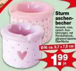 Krümet Sonderposten Sturmaschenbecher Angebot