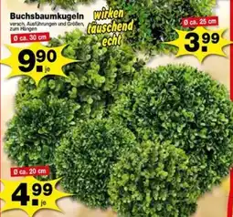 Krümet Sonderposten Buchsbaumkugeln Angebot