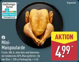 Aldi Nord Mini Maispoularde Angebot