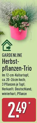 Aldi Nord GARDENLINE Herbstpflanzen-Trio Angebot