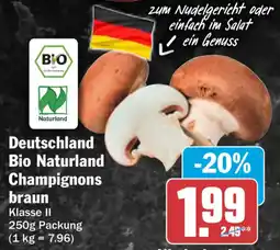 HIT Deutschland Bio Naturland Champignons braun Angebot