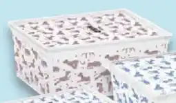 Kaufland CURVER Aufbewahrungsbox C-Box Style M Angebot