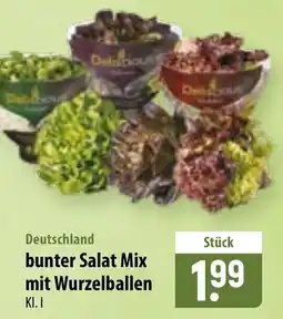 Famila Nord Ost Delicious bunter Salat Mix mit Wurzelballen Angebot
