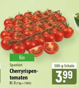 Famila Nord Ost Cherryrispen-tomaten Angebot