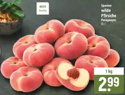 Famila Nord Ost Spanien wilde Pfirsiche Paraguayos Angebot