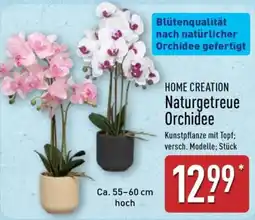 Aldi Nord HOME CREATION Naturgetreue Orchidee Angebot